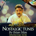 Nostalgic Tunes by Brian Silas - Brian Silas Song Download